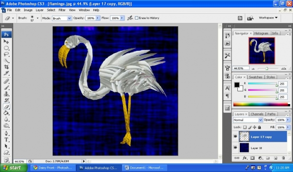 Creation of Flamingo: Step 4